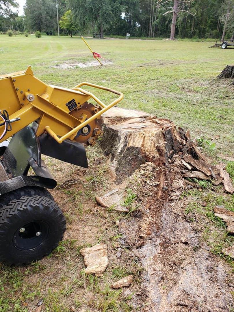 Stump Grinding
