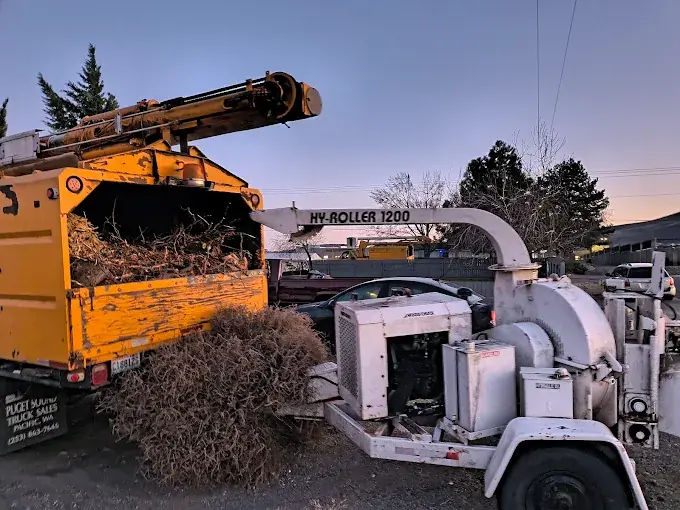 Lot & Brush Clearing